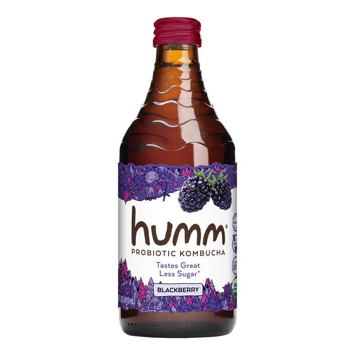 Humm Organic Probiotic Kombucha, Variety Pack, 14 fl oz, 12 ct