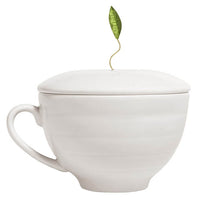 Tea Forté Keepsake Bundle with 26 Pyramid Infusers, 1 Café Cup and Tea Trays